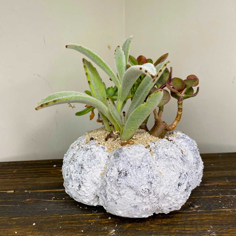 PUMPKIN / PLANTER - Handmade Home Decor